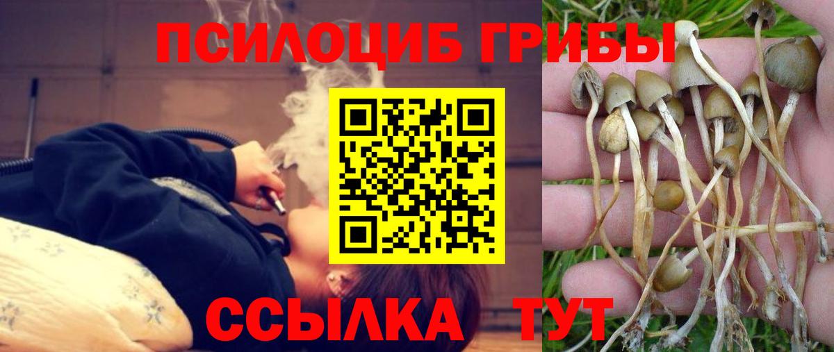 Стрежевой  Галлюциногенные грибы Magic Shrooms  Псилоцибиновые грибы GOLDEN TEACHER  Вход с VPN 