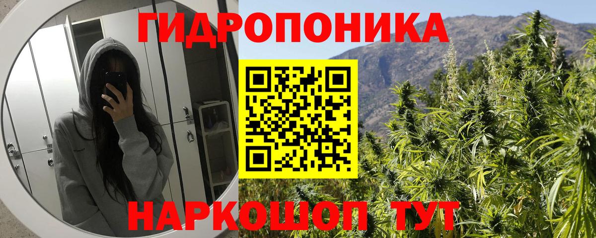 Шишки марихуана гибрид Стрежевой